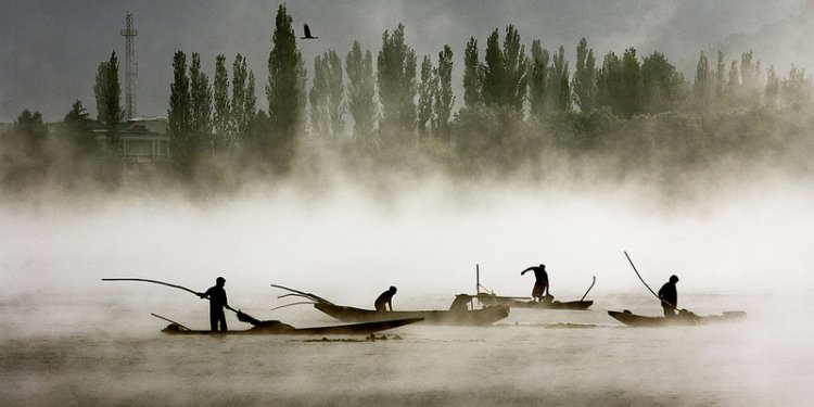 Dal lake MW017886