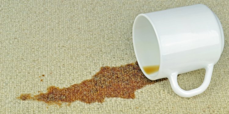 Carpet repair cleaning in