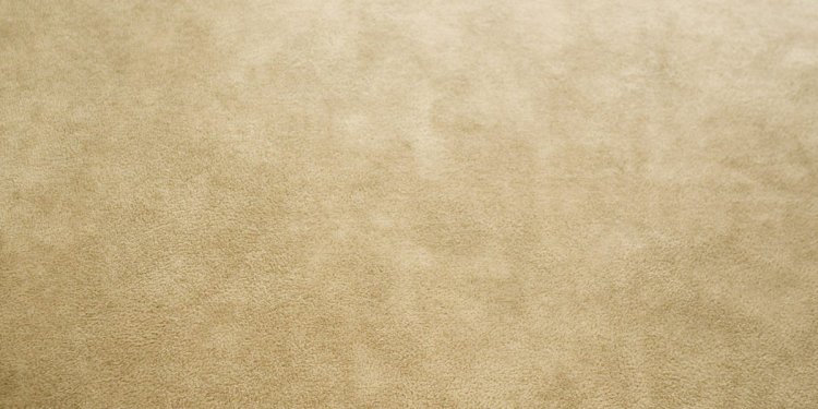 Homemade carpet cleaner for