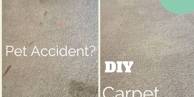 Diy carpet odor removal