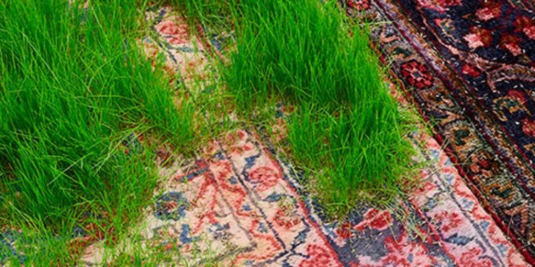 Persian rugs | Inhabitat