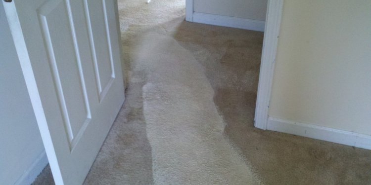 Deep carpet clean