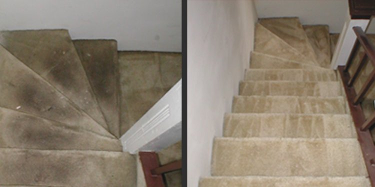 Shampoo/Carpet Cleaning