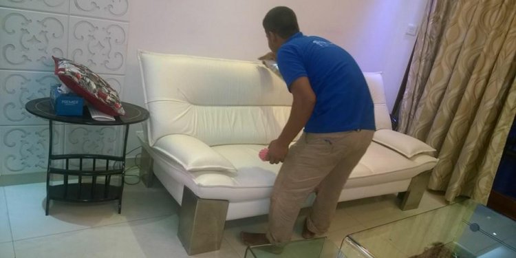 Sofa / Carpet Shampooing