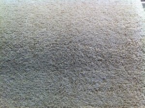Discount Carpet shop sells quality flooring at inexpensive prices