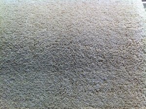 Discount Carpet shop sells quality flooring at inexpensive prices