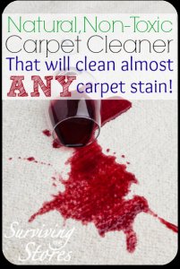 handmade Carpet Cleaner