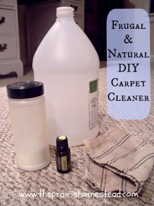 do-it-yourself Natural Carpet Cleaner