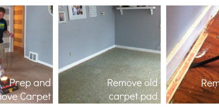 How to Take out Paint from Carpet?