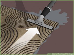 Image titled wash Rugs With Vinegar action 5