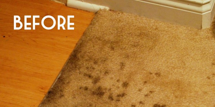 Carpet cleaning Tips vinegar