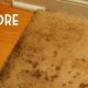 Carpet cleaning Tips vinegar