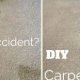 DIY Dry carpet cleaning