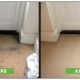 How to Shampoo Carpets?