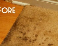 Carpet cleaning Tips vinegar