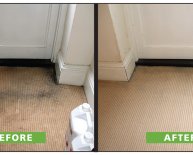 How to Shampoo Carpets?