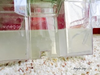 vinegar-carpet-cleaning-solution